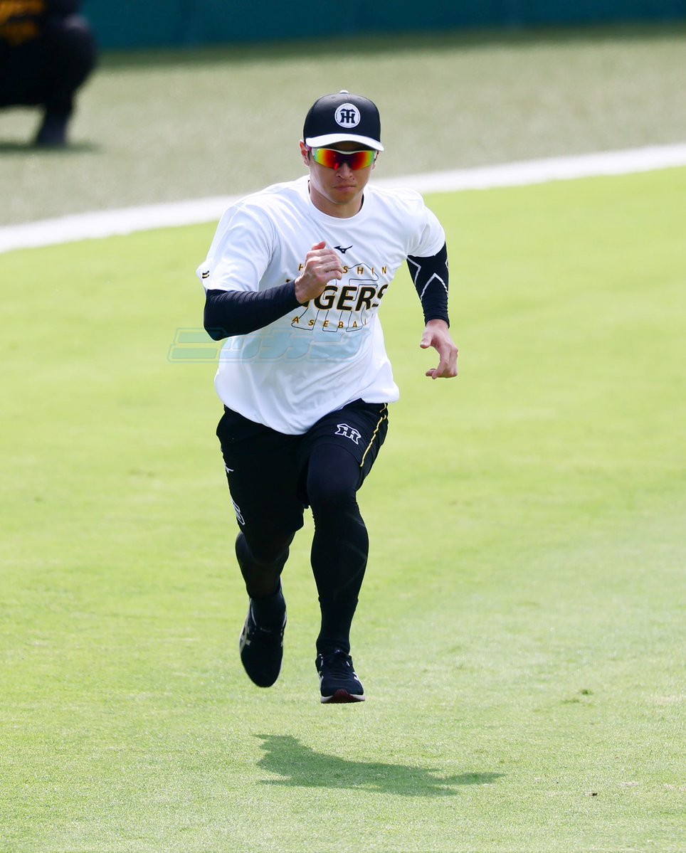 NikkanNaruohama's tweet photo. 帰ってきました✨️
近本光司選手です。元気にグラウンドを走っています🏃💨
#阪神タイガース https://t.co/qksBT2uJkc