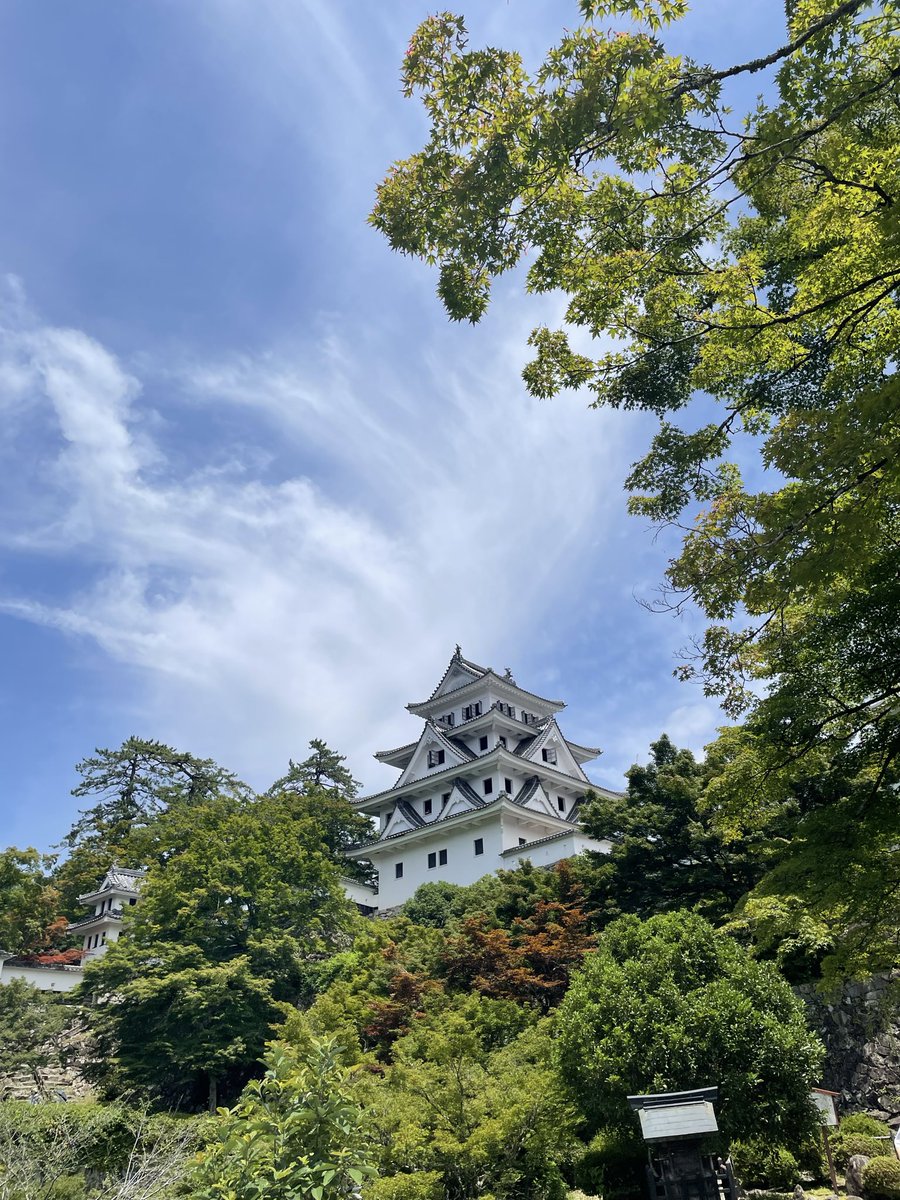 Aobyebye1's tweet photo. #日本100名城
2回目の郡上八幡城🏯
城内展示品で戦国を生き延びた遠藤慶隆の歴史ごよくわかった‼️
夕方から郡上おどり発祥祭に行くぞ😄
晴れで強い日差し蝉の声はまだかな https://t.co/Yu65dJnYyt