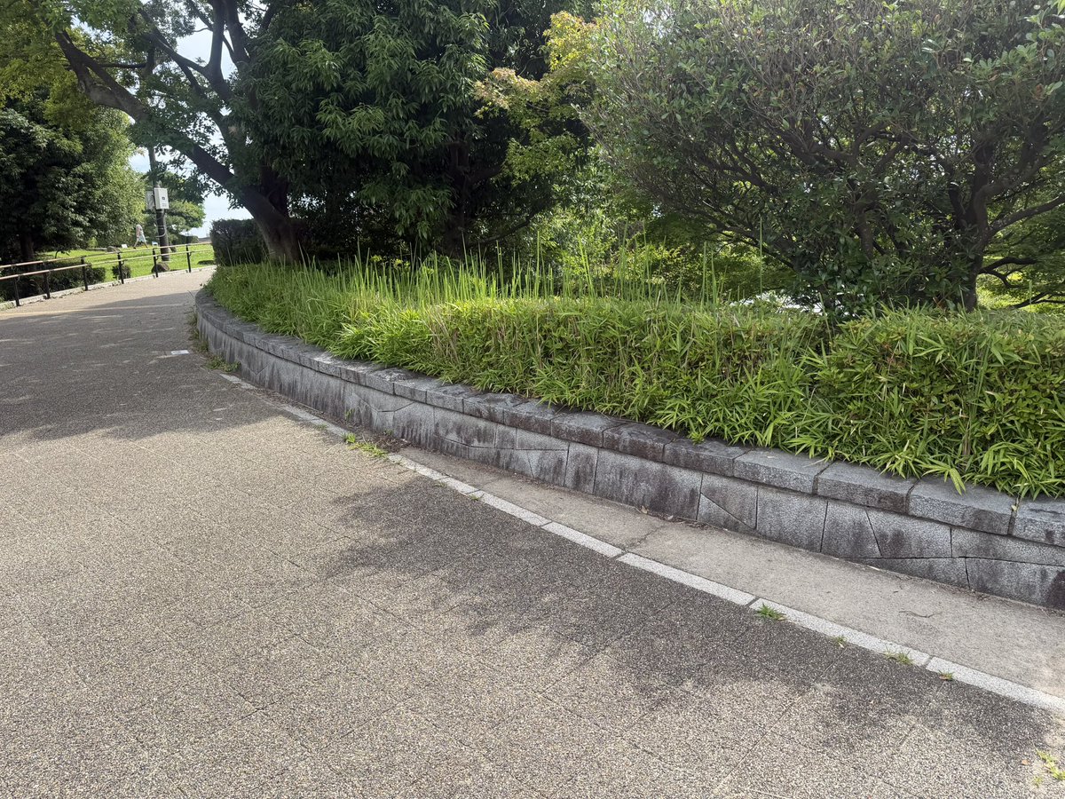 RLc1f6's tweet photo. 平和だけど寂しさ募る https://t.co/UdXRKvYXuc