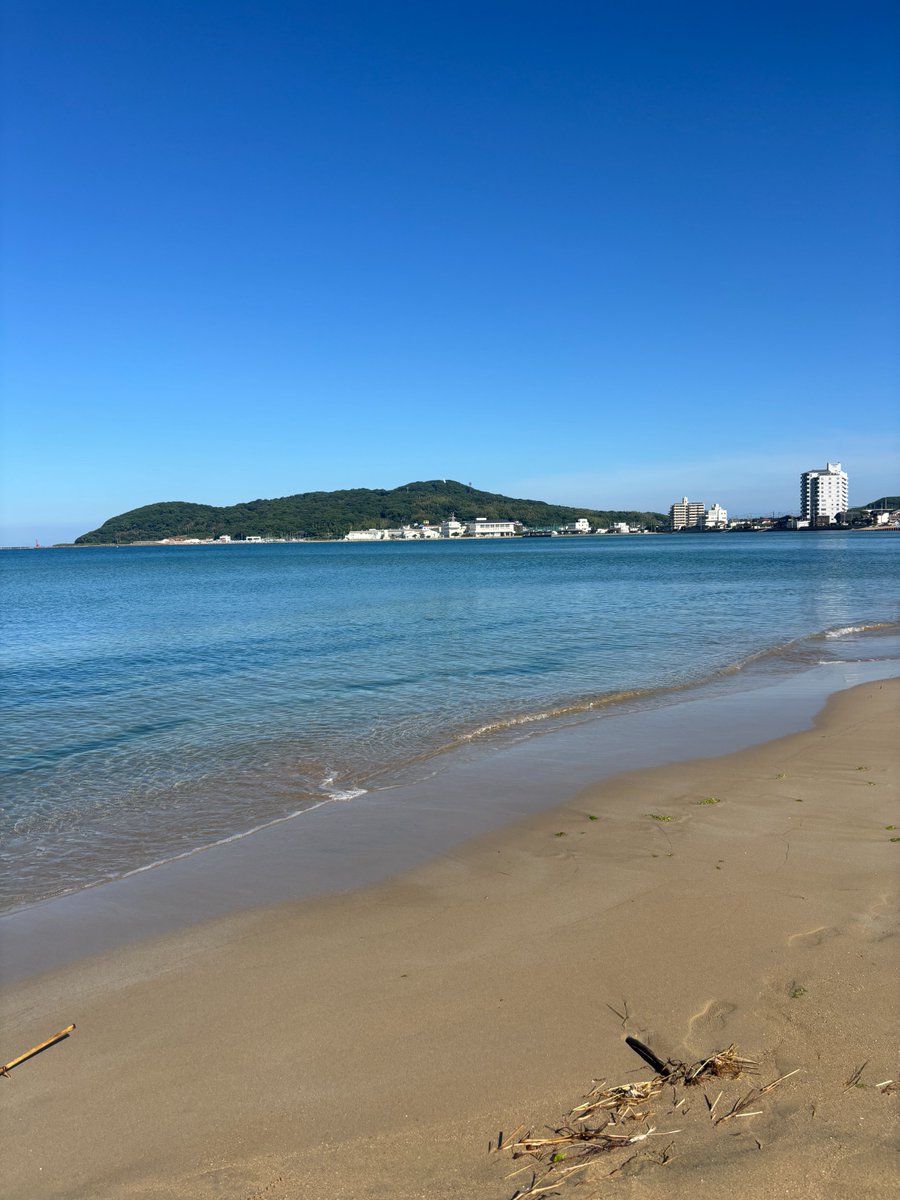 ３０年前に南城市海岸にて拾ったかいがらたち 今朝は息子と一緒に、津屋崎海岸の松林清掃へ。 環境部会の皆さんが