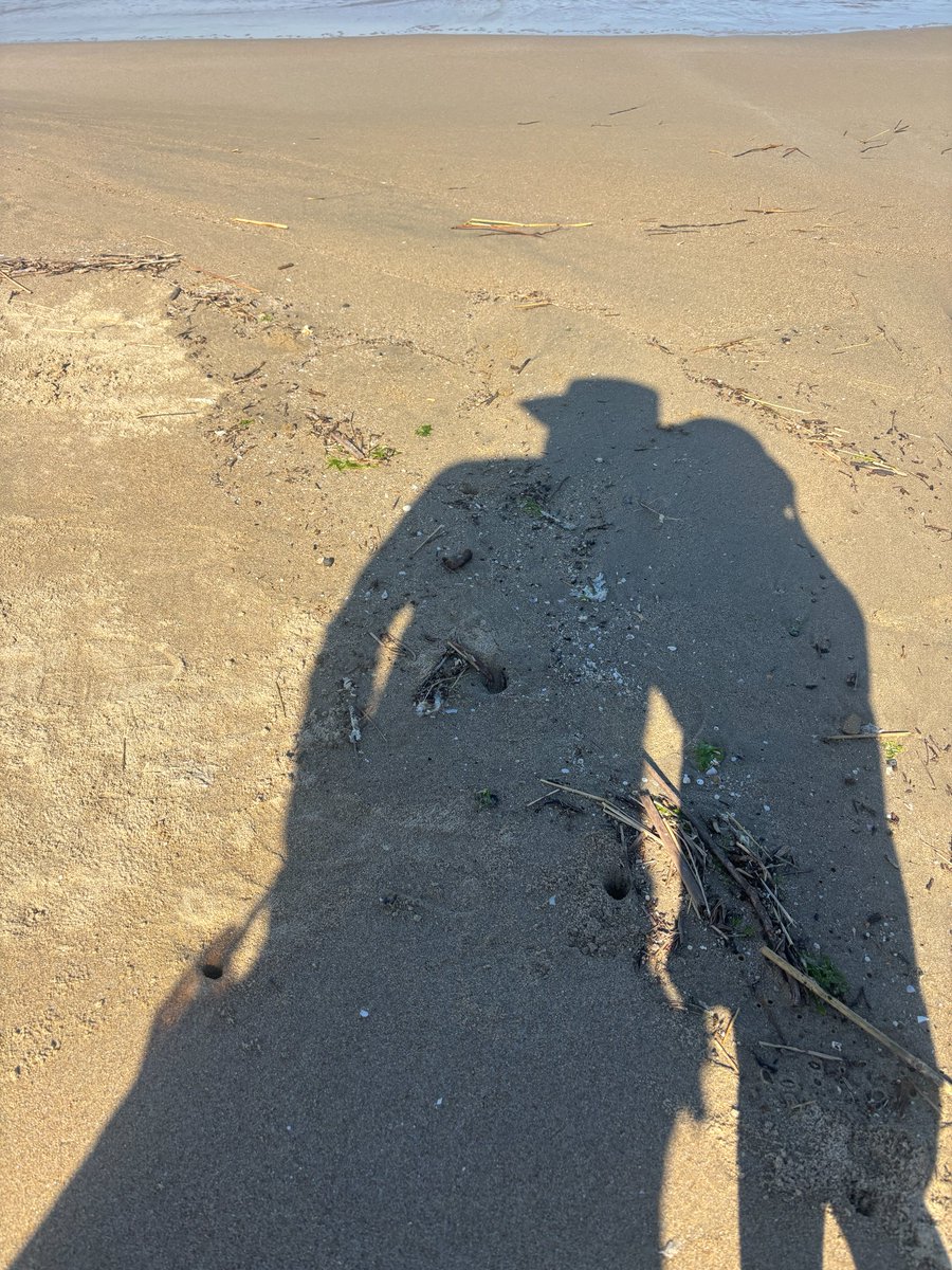 今朝は息子と一緒に、津屋崎海岸の松林清掃へ。 環境部会の皆さんが