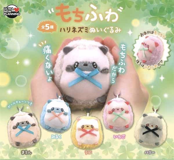 🐷7月11日（土）完売情報🐷 🐽もちふわ ハリネズミ ぬいぐるみ 以上の