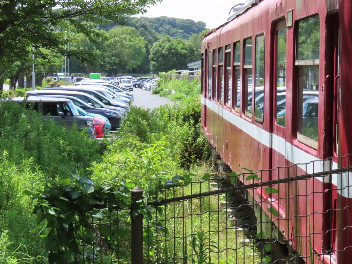 601_KHK's tweet photo. 草ボーボーなので総がかりで草刈りしてます https://t.co/ujszM0rxli