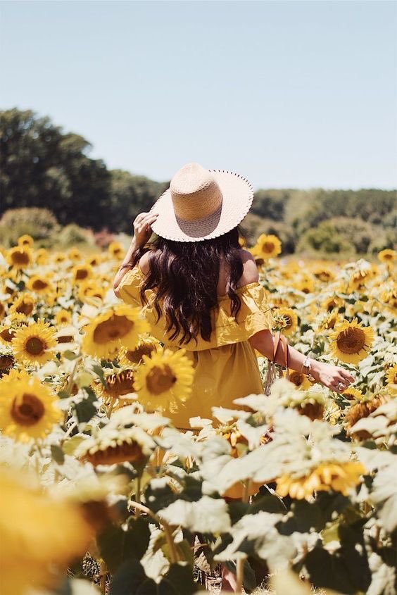 NazifaC_'s tweet photo. The night mocks the sunflowers for having the sun gone
But the night forgets the sun rises everyday and the night has to end
The dew drops may wet the petals
But the dew gets soaked up in the sun
It's just the darkness's way to frighten the earth
Thinking the light may never come https://t.co/Hb6nLBjtQR