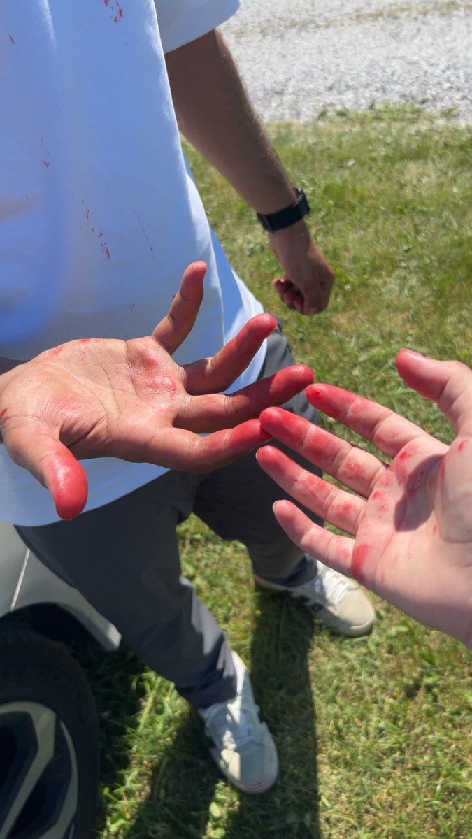 RofaydaYasser's tweet photo. Strawberry picking and memory making with my favorite person 😋🍓🍓 https://t.co/apAWmzPZ8y