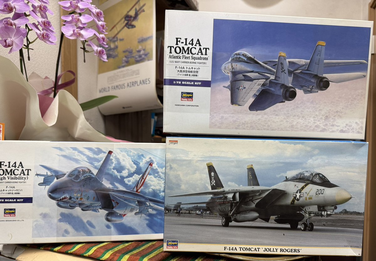 This is the F-14 kit we sell in our shop. We have plenty of others
