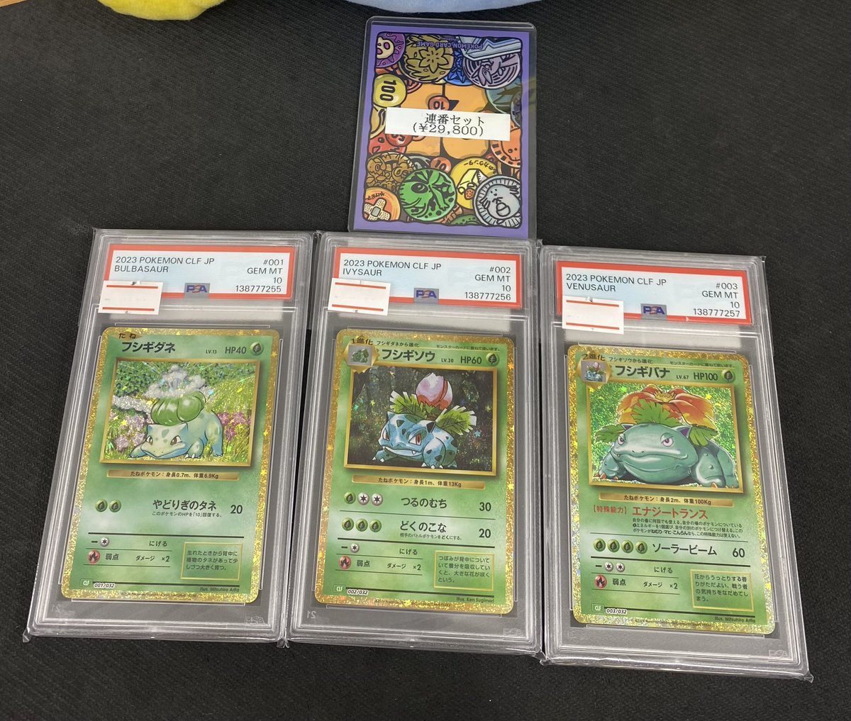 🌟入荷情報🌟】 【PSA10】フシギバナ 連番セット 【PSA10】カメックス