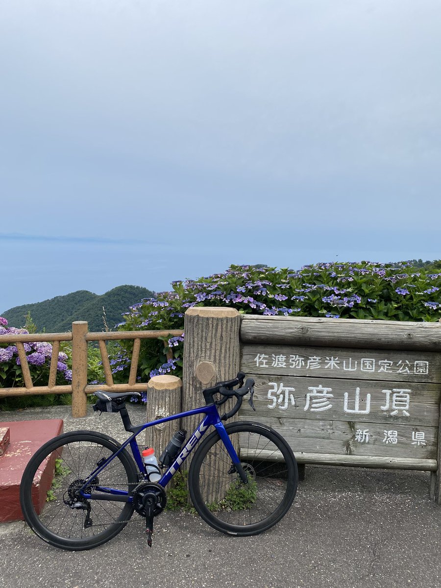 junn50000's tweet photo. 朝ライド😅弥彦まで 五ヶ峠じょんのび側も行ったけど、涼しいコースだからハイキングの方が多い😅 https://t.co/eCzTEy7yDZ