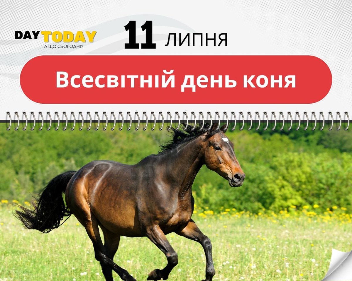 DAYTODAY_UA's tweet photo. 11 липня 📆 Яке сьогодні свято чи памʼятна дата?

• Святої рівноапостольної княгині Ольги
• Всесвітній день стрибків з парашутом
• Всесвітній день поширення інформації про бензодіазепіни
• Всесвітній день коня (ООН)

Детальніше  на DAYTODAY
https://t.co/oJCJCO2Ld1 https://t.co/gDfTxeasvy