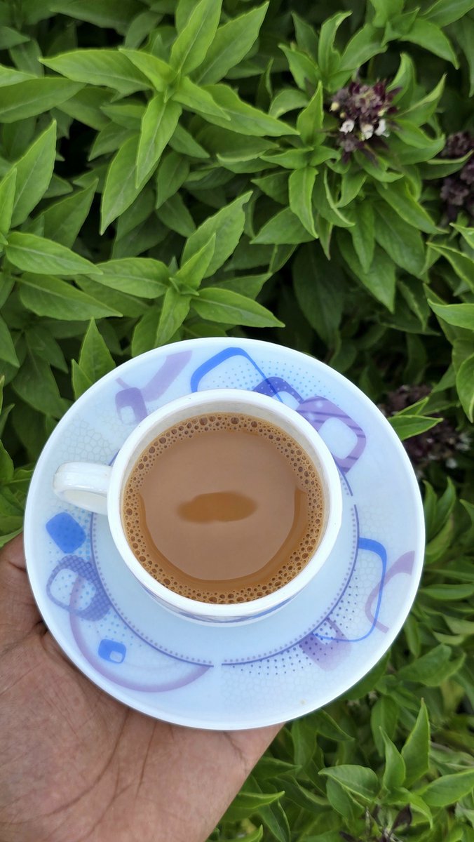 Hmlbi's tweet photo. #صباح_الخير https://t.co/rz8P6lNBVr