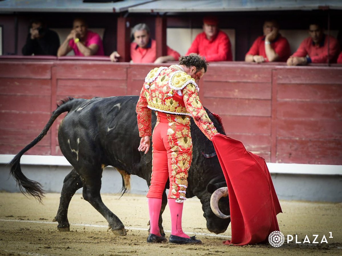 javiermartingo2's tweet photo. Hoy vuelve la leyenda,  Antonio Ferrera,  a Pamplona. Mucha suerte para él y para sus compañeros de cartel. https://t.co/qWzSYfJ1mP