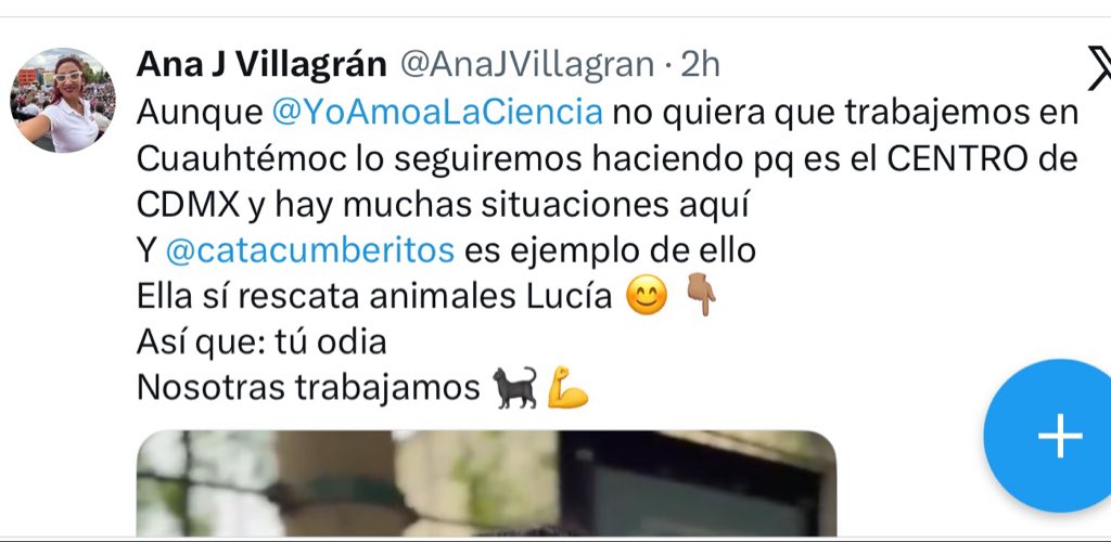 YoAmoaLaCiencia's tweet photo. —¿Qué es lo que no tienen en tu alcaldía?

—Jornadas de esterilización de AGATAN

—Debieron pensar en eso antes de no vivir en Cuauhtémoc.

Tan sólo este fin de semana y la próxima semana, AGATAN realizará tres eventos consecutivos en Cuauhtémoc: una jornada de esterilización, una jornada de bienestar animal en la Colonia Roma y la Semana del Bienestar Animal en la Condesa.

Ahora Ana Villagrán dice que la prioridad es Cuauhtémoc porque “es el centro”.