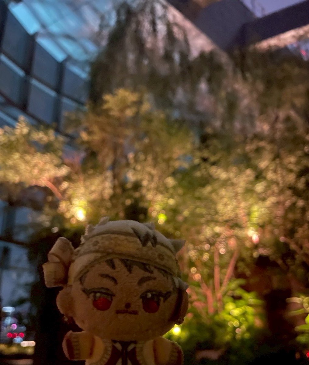 umimade_mo's tweet photo. 先週のほわ、夜景バックに堂々としててかっこよすぎる https://t.co/VJjKg9Uq5C