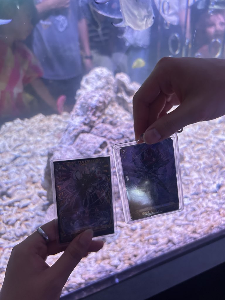 lumijelli's tweet photo. #vanguardattheaquariumdate https://t.co/AJ9HS3v3nM
