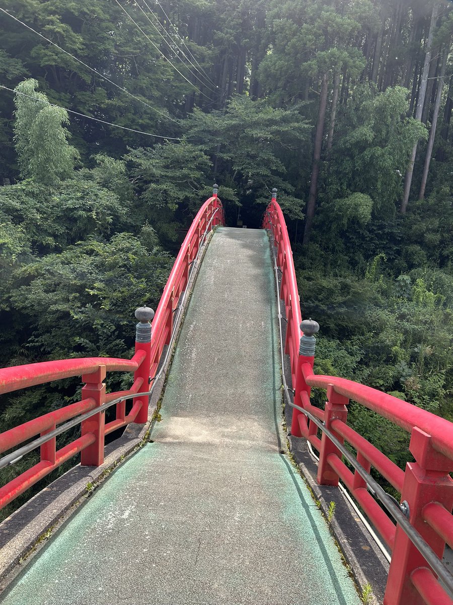 toost87's tweet photo. 寧々のにおいがする https://t.co/pec5VdoMUJ