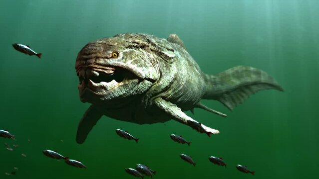 __1___1_____1__'s tweet photo. Daily fish SPECIAL! (day 42). https://t.co/QAZnSHCRbF