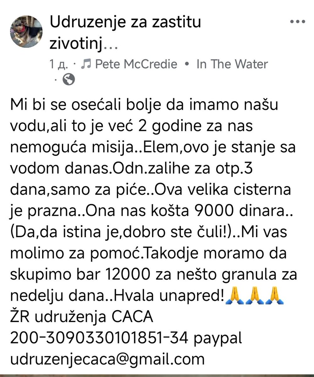 azra2209's tweet photo. Udruženje Caca sa skoro 90 životinja je uvek na ivici opstanka i zavisi od nas pojedinaca. Svaki iznos im znači jer nemaju svoju vodu i struju i snalaženje je jako teško. Hvala za svaku pomoć i uplatu.
Ž.R. Udruženja Caca  200-3090330101851-34 ili paypal udruzenjecaca@gmail.com https://t.co/EWIX9e24S2