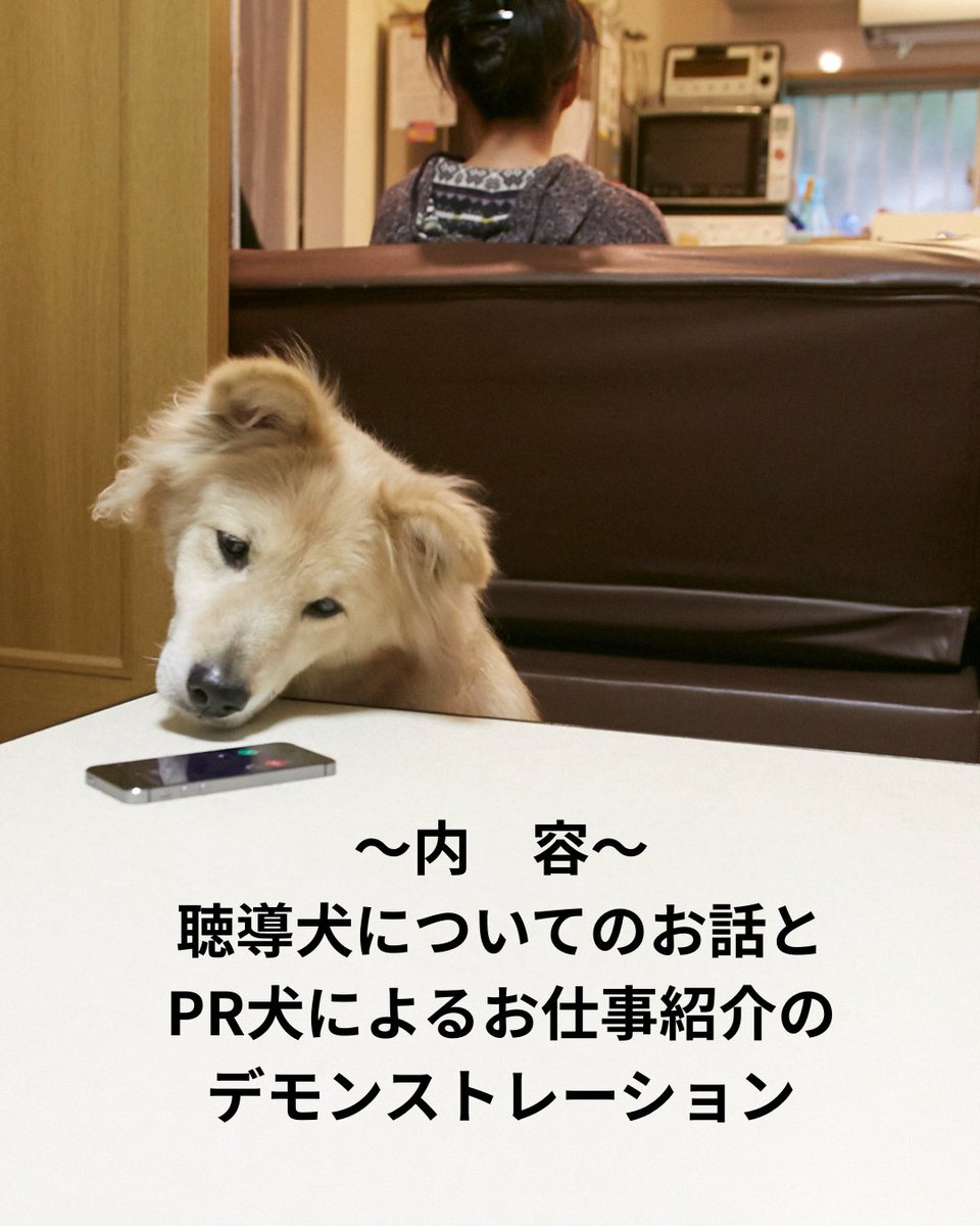 hearingdogjp's tweet photo. 『聴導犬に会いに行こう』　夏休み特別編　
【内容】聴導犬についてのお話とお仕事紹介
【日時】２０２６年８月１５日（土）１３：３０～１５：３０
【会場】癒しの杜～こうご動物病院付属TAMA統合医療センター～／東京都多摩市 (https://t.co/z4PiwnNO6a)　
【定員】１５名　要申込　（QRコードより） https://t.co/wHQCzF5DYN