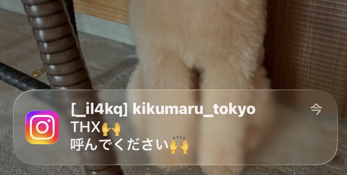 KT4L__092's tweet photo. Mr.K🎂 https://t.co/LzgP78H5DA