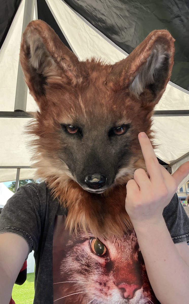 Dhole tweet media