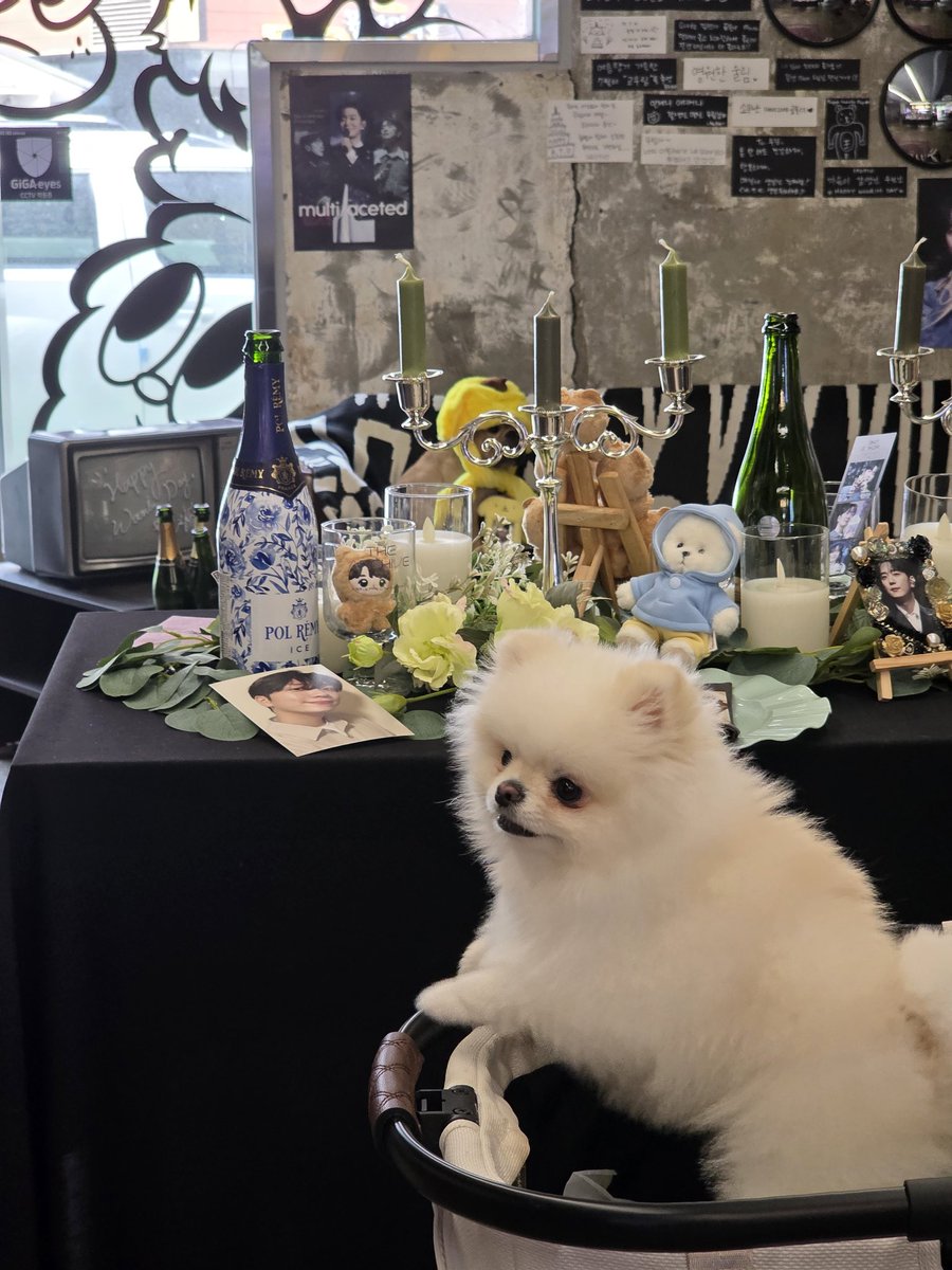 woolim_is's tweet photo. [ 𝗧𝗛𝗘 𝗔𝗥𝗖𝗛𝗜𝗩𝗘 : 𝗔𝗿𝘁𝗶𝘀𝘁 고 우 림 ]

📣 카페 아카이브는 반려견, 반려묘, 반려곰 동반 출입이 가능합니다! 참고해 주세요🐶🐱🐻 https://t.co/4C9xOCZb4Z