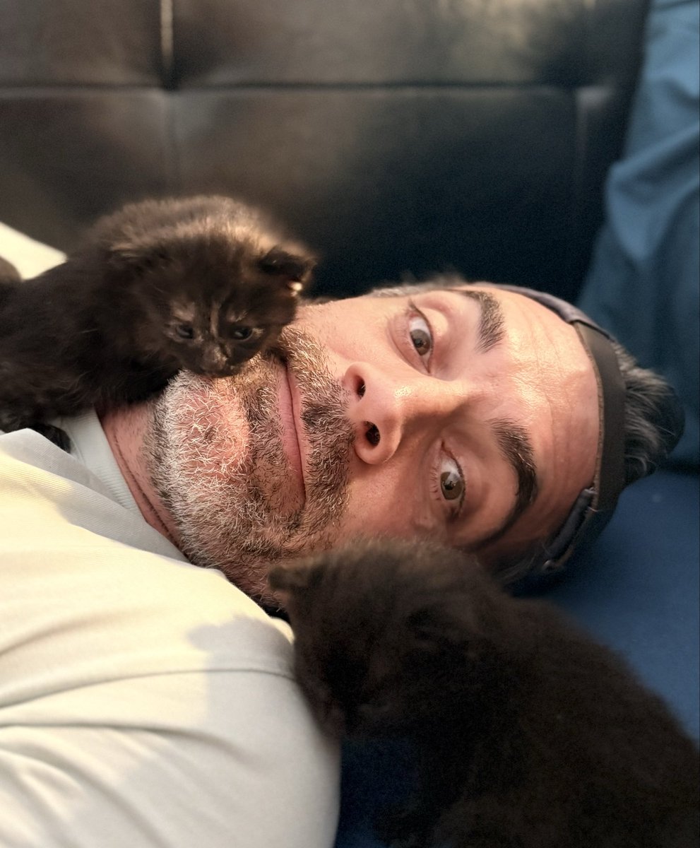 gilalma's tweet photo. Les grands départs, c’est aujourd’hui. Les grandes arrivées aussi. Bienvenue à 22 petites merveilles. 💛🐾
Pif et pouf ! 😻😻 https://t.co/c6diSgEwDT