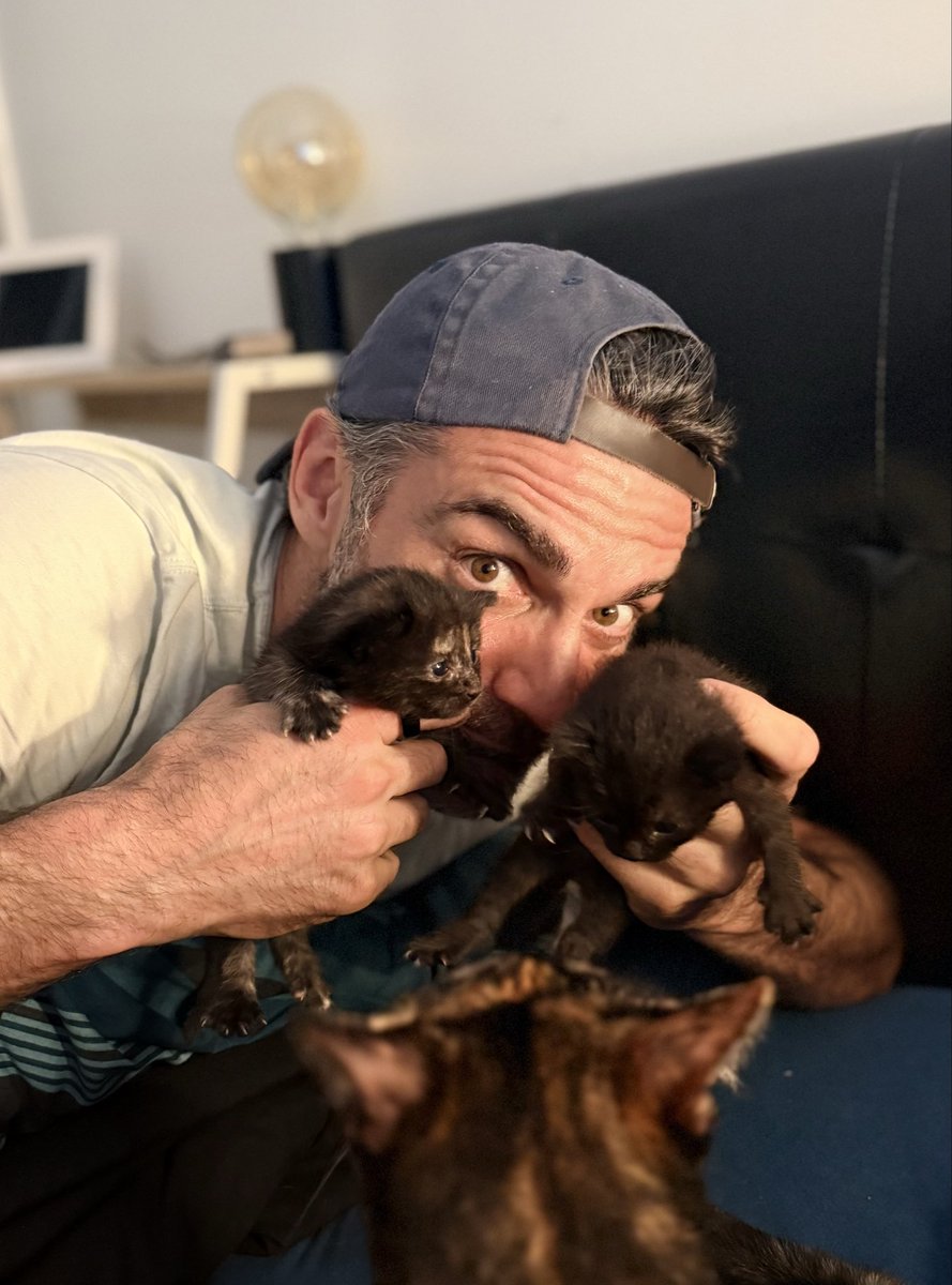 gilalma's tweet photo. Les grands départs, c’est aujourd’hui. Les grandes arrivées aussi. Bienvenue à 22 petites merveilles. 💛🐾
Pif et pouf ! 😻😻 https://t.co/c6diSgEwDT