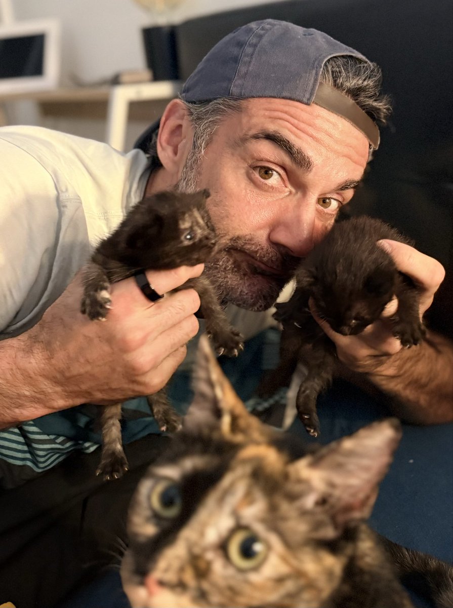 gilalma's tweet photo. Les grands départs, c’est aujourd’hui. Les grandes arrivées aussi. Bienvenue à 22 petites merveilles. 💛🐾
Pif et pouf ! 😻😻 https://t.co/c6diSgEwDT