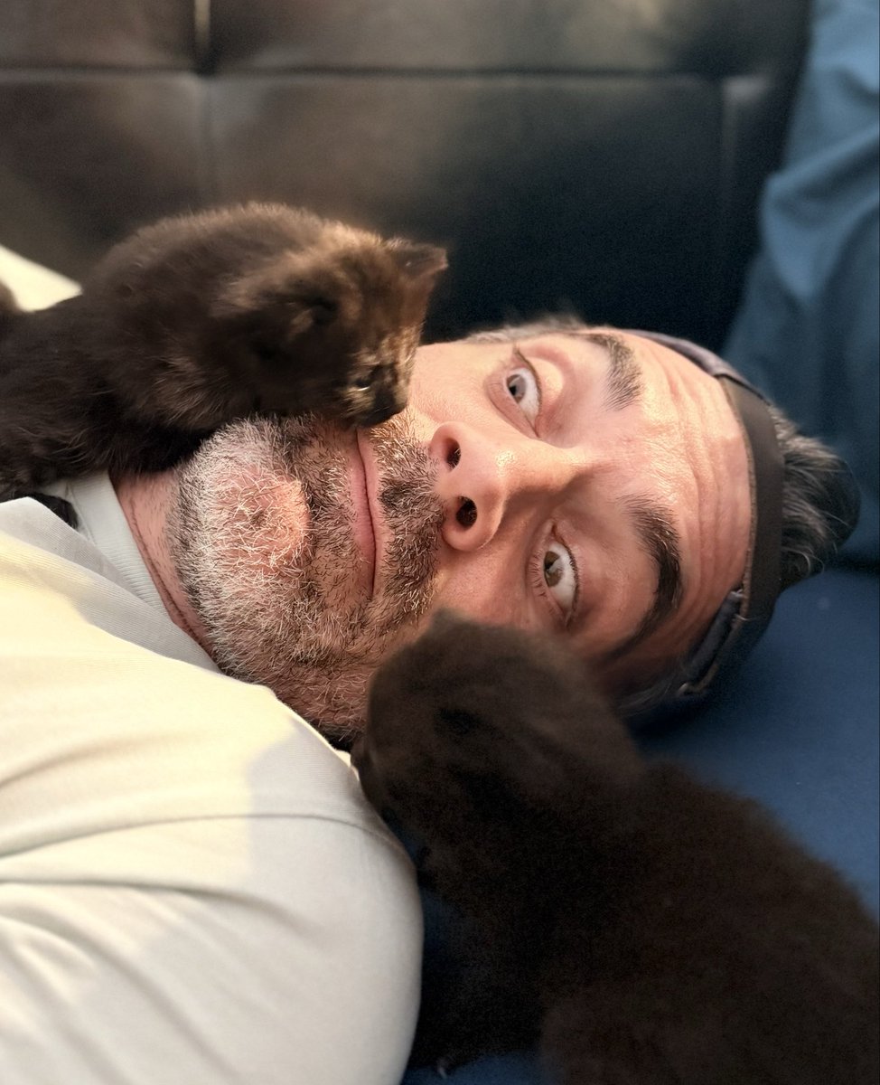 gilalma's tweet photo. Les grands départs, c’est aujourd’hui. Les grandes arrivées aussi. Bienvenue à 22 petites merveilles. 💛🐾
Pif et pouf ! 😻😻 https://t.co/c6diSgEwDT