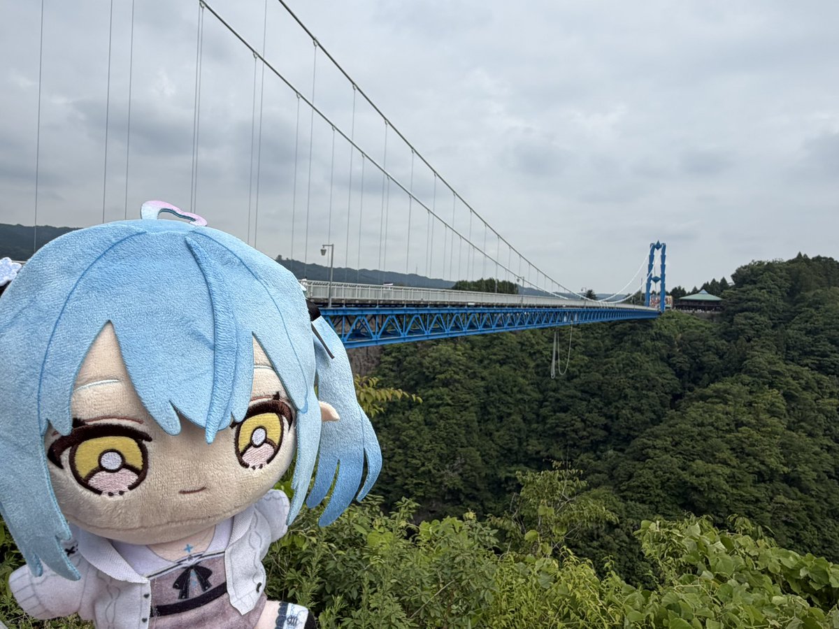 harvardy_kan's tweet photo. 第3の目的地「竜神大吊橋」🚩
紐が垂れてるところからバンジージャンプ出来るけど絶対無理() https://t.co/ahpUYsl4pU