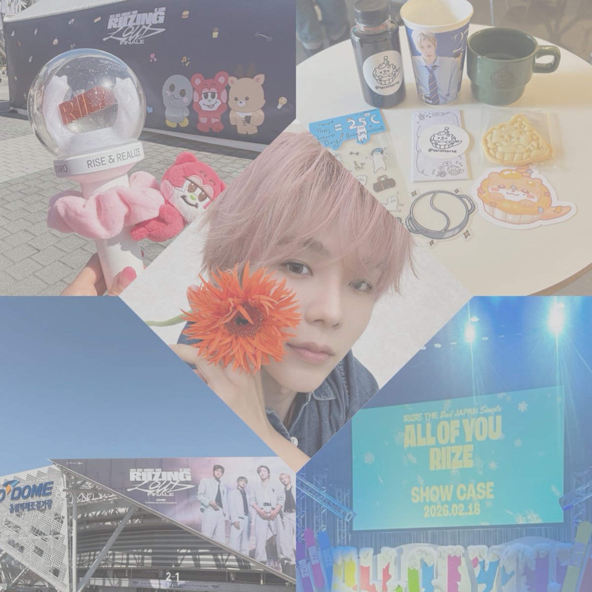 t__45o's tweet photo. @00

𝙽𝙴𝚆 🏷️

𝚂𝙷𝙾𝚃𝙰𝚁𝙾 ￤𝚃𝙾𝙺𝚈𝙾 ￤ 30↑ 

ALT☑️
BRIIZEのお友達が少ないので仲良くしてもらえたらうれしいです🤍

#RIIZE好きな人と繋がりたい
#BRIIZEと繋がりたい
#大人BRIIZEと繋がりたい https://t.co/14PcW25ICg