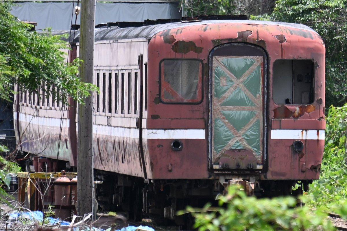 Cocoa_189_510's tweet photo. 大井川鐵道に譲渡された元JR西日本の12系700番台SLやまぐち号。

スハフ12 702など客車4両は残念ながら"解体処分"になり、オハ12 701は既に車体を切断済。

なお展望車のオハフ13 701は色褪せや錆が目立つものの残留する模様・・当初から売却の対象外だが、何かに活用予定か？

（※敷地外・公道から） https://t.co/FjZ7txkRhf