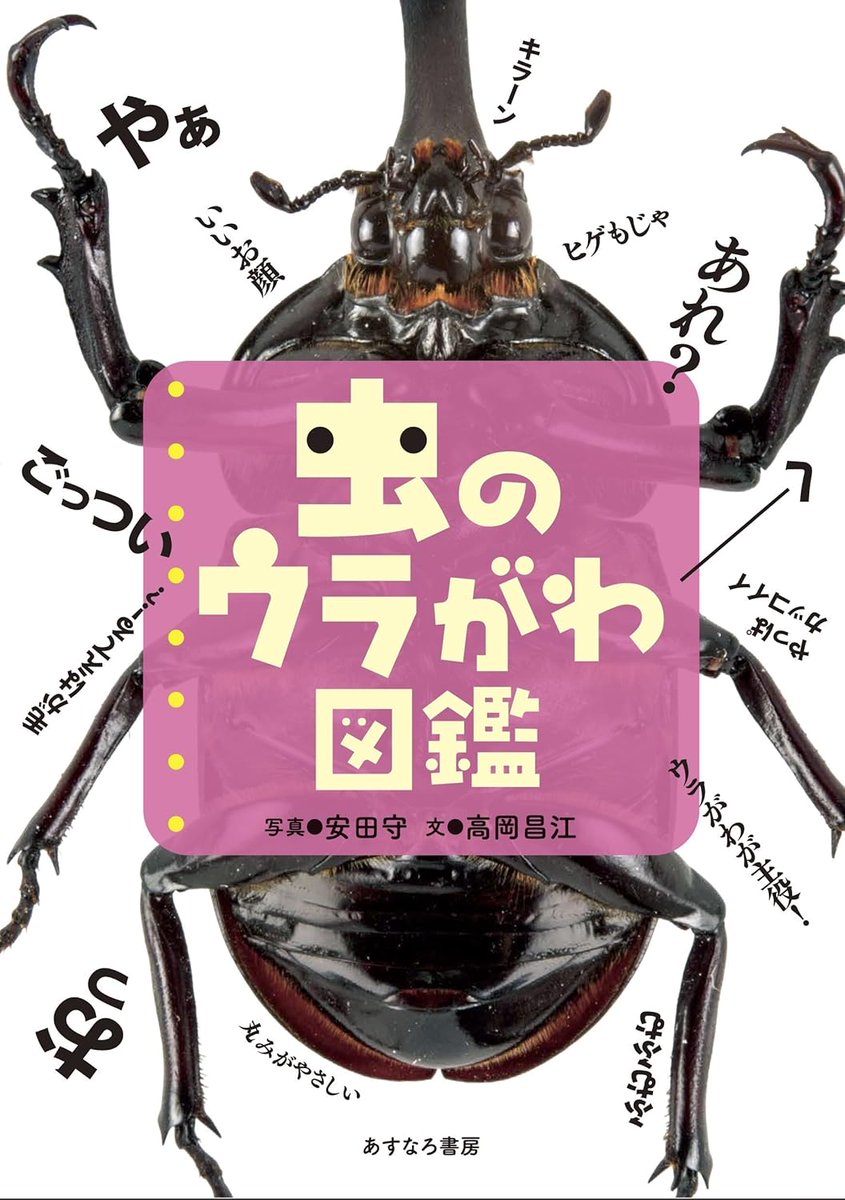 本日の気になる入荷＞④『虫のウラがわ図鑑』安田守、高岡昌江 虫の