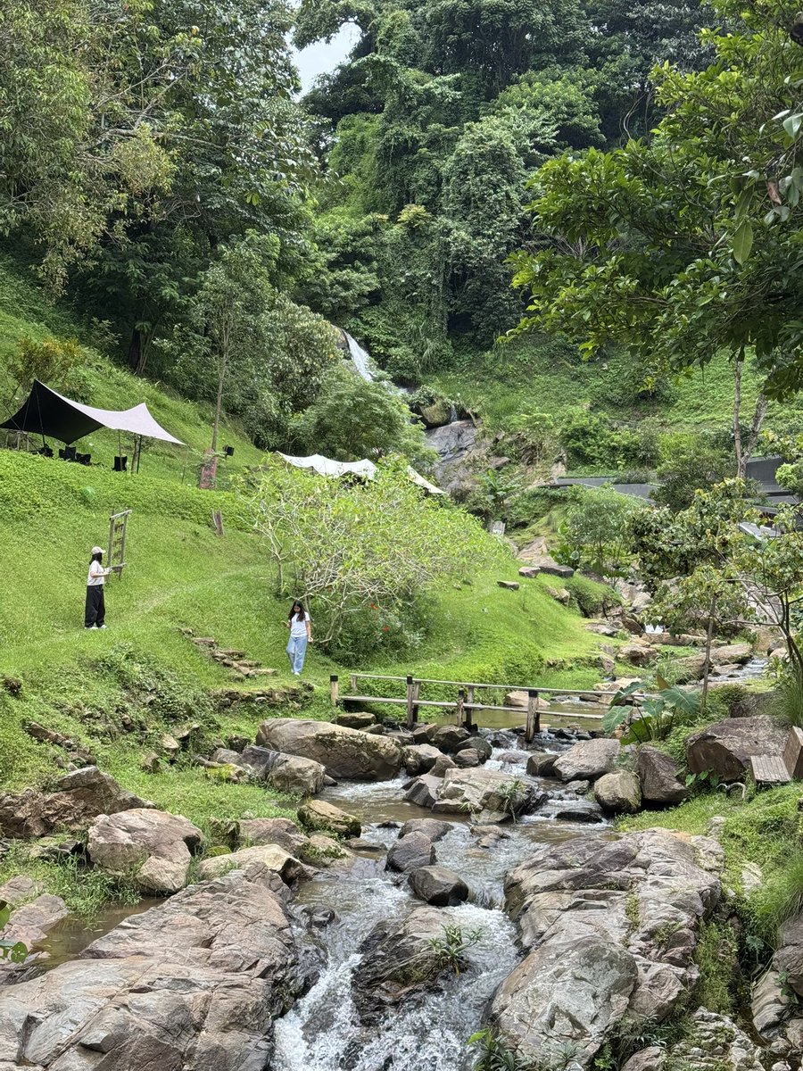 FMS1221's tweet photo. WTF coffee camp แม่ริม
คาเฟ่ฟิวแคมป์ปิ้ง ที่มีน้ำตกเป็นของตัวเอง บรรยากาศดีมากๆ เขียวๆๆ ถ่ายรูปสวยๆได้หลายมุมเลย https://t.co/TU5scytUaG