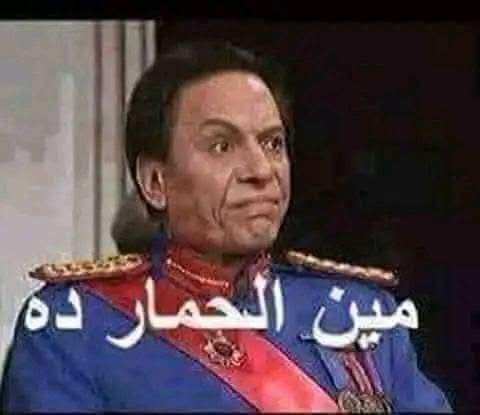 sayed93451395's tweet photo. @M__albugaly البغل https://t.co/r8RscoRJmL