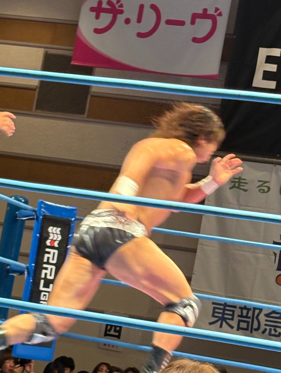 staff_eno's tweet photo. ギューー……

ッとしたほっくん ჱ̒⸝⸝•̀֊•́⸝⸝)ｲｲﾈ

 #ajpw
 #横浜 https://t.co/lEQvUYQ0XD