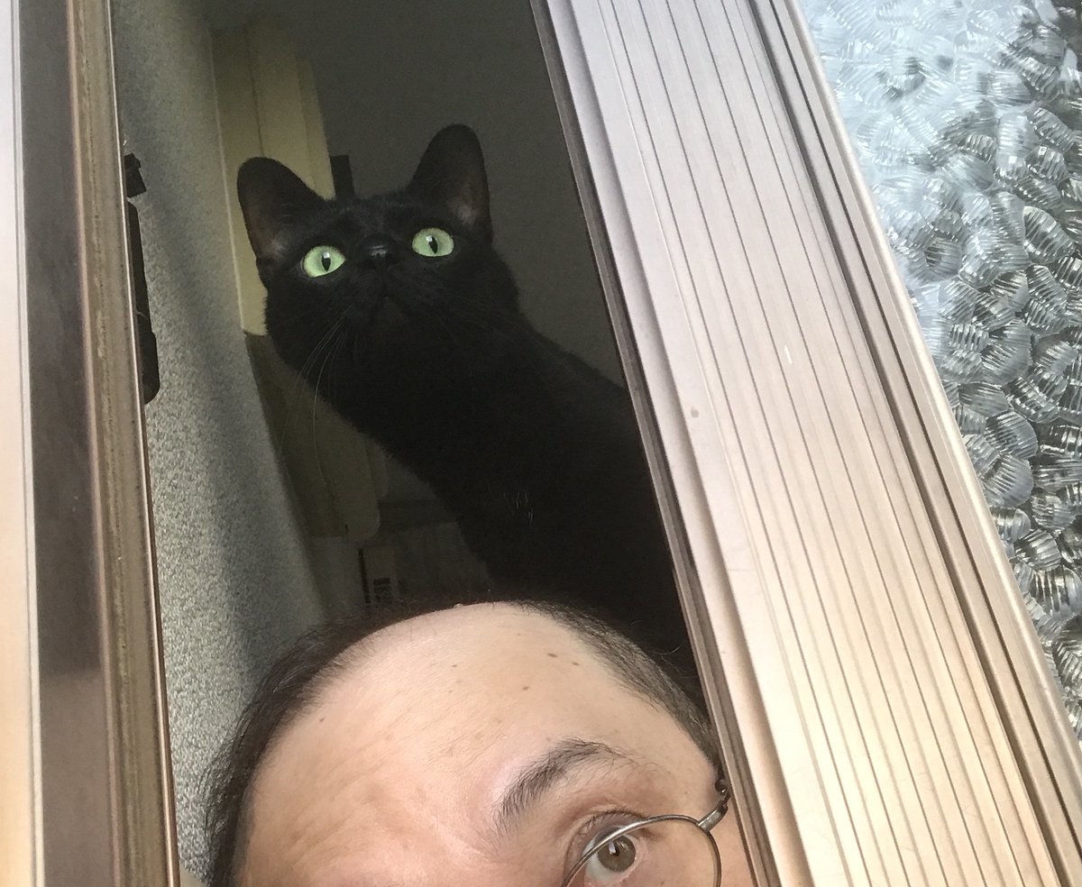 kissyouji_kaito's tweet photo. クロ美さんがウチに来て
今日で十二年になります。
カラスに攫われて声も出ないほど
怯えて弱っていましたが、すぐ元気に。
ずっと元気でいてくださいね🐈⬛
#黒猫 #猫好きさんとつながりたい #猫のいる暮らし #猫のいる幸せ #猫 #blackcat #blackcatsrock #cats #cat #instapet #catstagram #instacat https://t.co/hvU7TpxpWh
