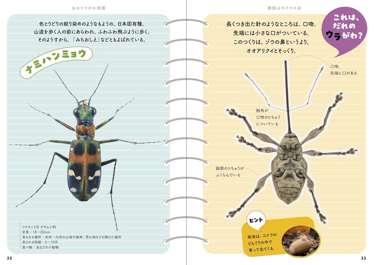 本日の気になる入荷＞④『虫のウラがわ図鑑』安田守、高岡昌江 虫の