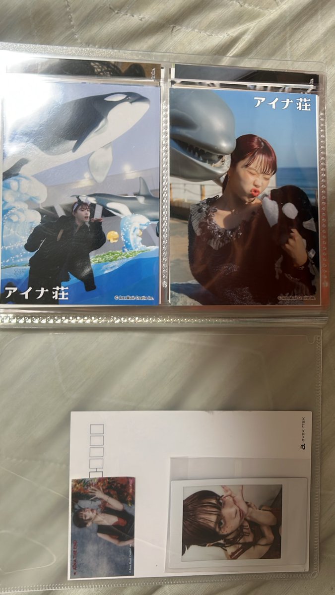 galfxp2's tweet photo. 特典のポスター用にAmazon で
ポスターフレーム買ったら・・・
宅配ボックスに入らないくて持ち帰られた😅
再配達手配したが皆さんも気を付けて下さいね☆
(考えれば判るだろうは無しで！)
とりあえずポストカードと写真賞

#アイナジエンド
#ルミナス特典
#アイナキャッチャー https://t.co/5o2mrXQmrh