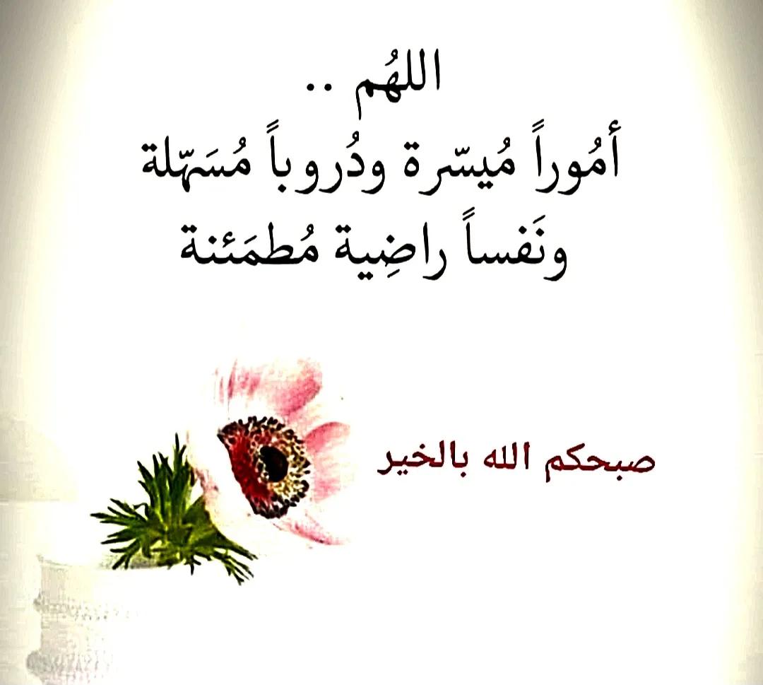 ramadanma's tweet photo. https://t.co/thC7n2eUex