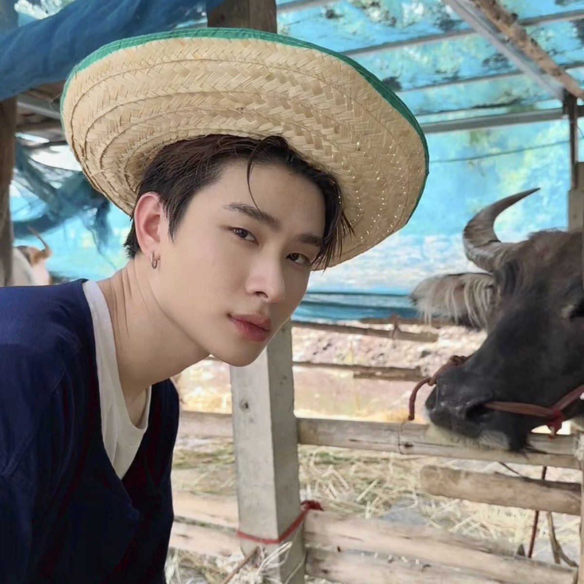 melrymaw's tweet photo. น้องไทยกับพิ (🐃) เอ็นดูมากกกก 🤏🏻👼🏻
ยิ้มแก้มจะแตกเยยน้องสนุกปุด ๆ ๆ ๆ 💘💘 https://t.co/j2SbZbXjnF