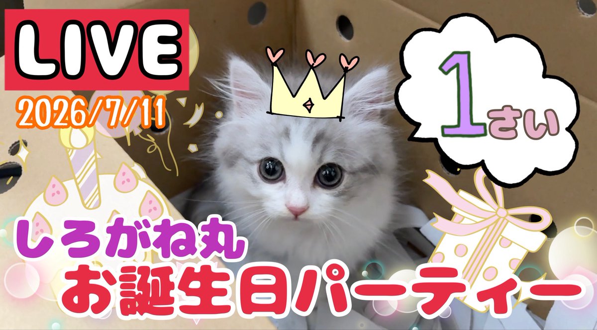 スコスコぽこ太郎ファミリー@5/21コミックエッセイ発売『スコスコ事件
