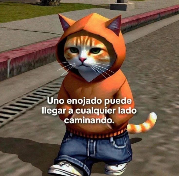 soyacostaa's tweet photo. https://t.co/hG6CXzQBt3