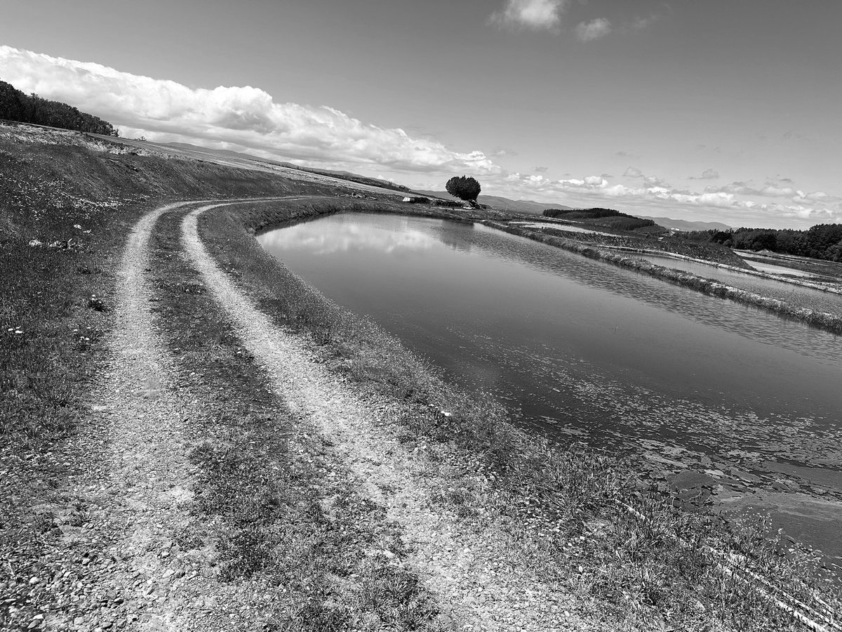 yutaka_kasai_'s tweet photo. We are nobody.
Always...But that’s fine, right?
As long as you’re a creator,
it’s fine to be ignored by everyone around you.
Because creating has become just like "breathing."
#InsideMyMind
#DaydreamPoetry
#JustToMe https://t.co/U3G9FI3FqH