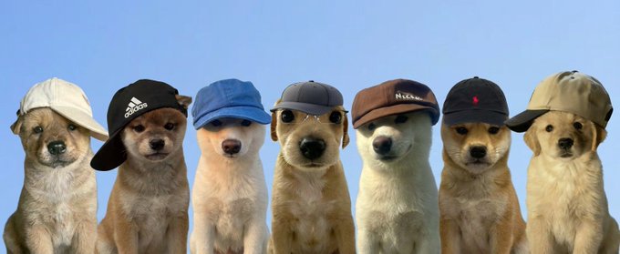 cap (@holdthecapsol) / Posts / X