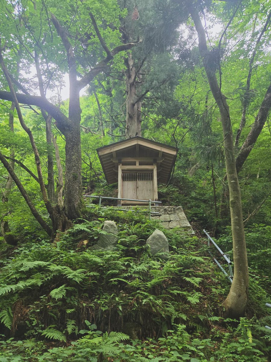 tibet_in's tweet photo. 布曳滝(男滝)
村上市板屋越にある男滝・女滝からなる滝で近くに不動堂がある。車からおりた瞬間、大量のメマトイ(コバエのような小さな虫)の襲撃があり大変だったが滝前に行くといつの間にかいなくなっていた😭
また滝前は以前なかった倒木があり景観が変わっていた。
#村上市
#不動明王 https://t.co/DcSmMU5pNU