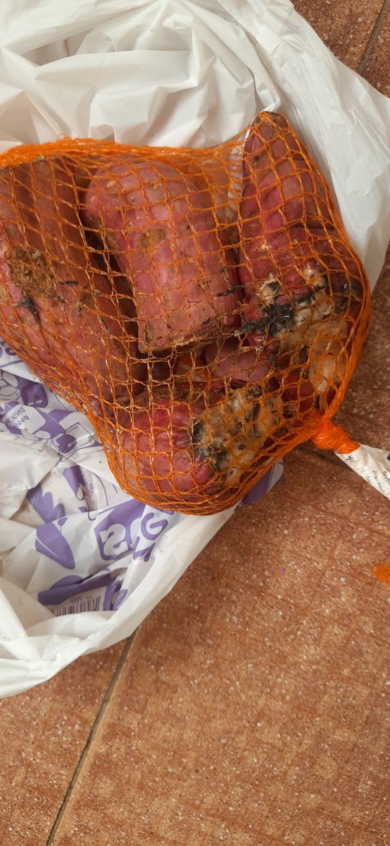 balaanadnav's tweet photo. @zeptocares @ZeptoNow has delivered rotten product and refusing refund or return because seller confirmed it was good when they sent 5 mins ago. Did not deliver 1 out of 3 milk packets ordered. No refund for that as well? What's happening? Order id SMLHJBTTE79008 https://t.co/of8HYqDAyj