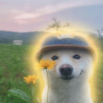 cap (@holdthecapsol) / Posts / X