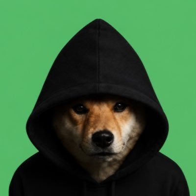 Rex 🐂 🀄 tweet media
