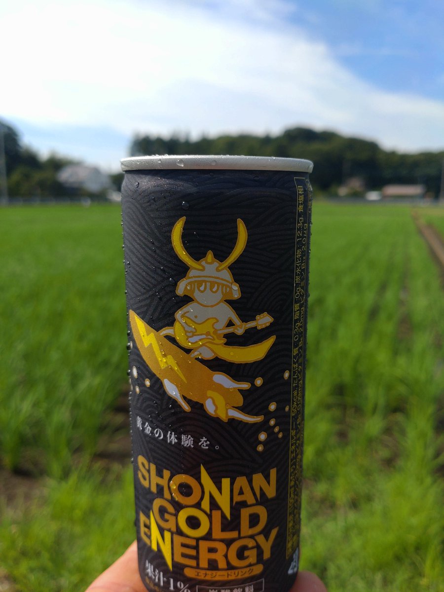 havlat68's tweet photo. 湘南ゴールドエナジーのクラファンを見てたら飲みたくなったので買ってきた🍊🤤 https://t.co/fHugWhNZu4